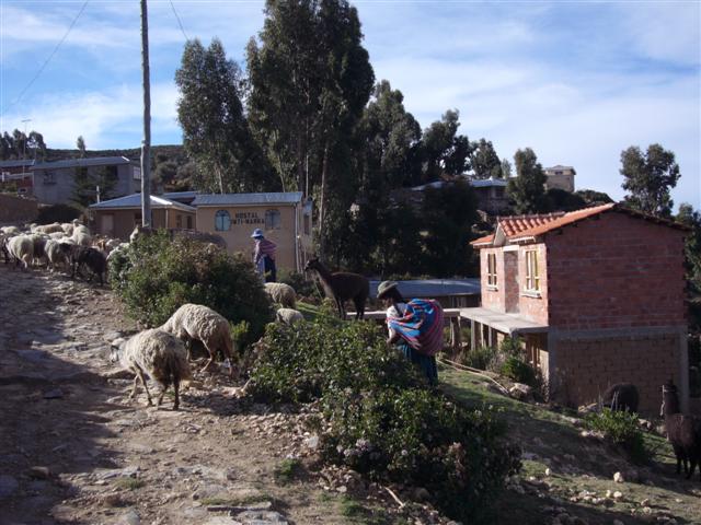 Travel - Bolivia - Isla Del Sol - South-West Side